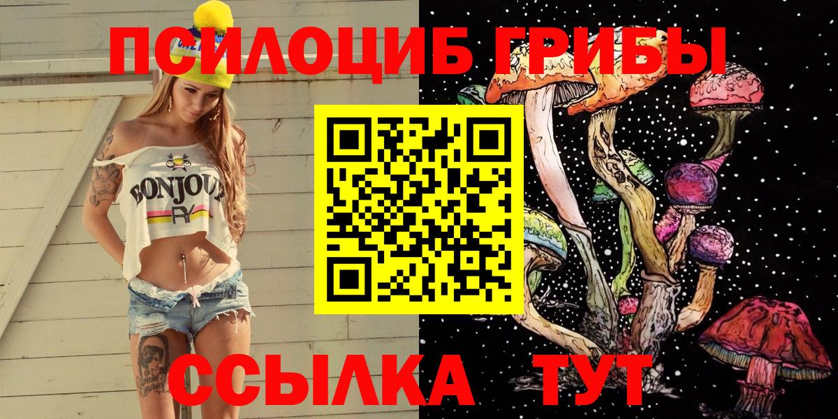 Псилоцибиновые грибы Psilocybe  Урус-Мартан 