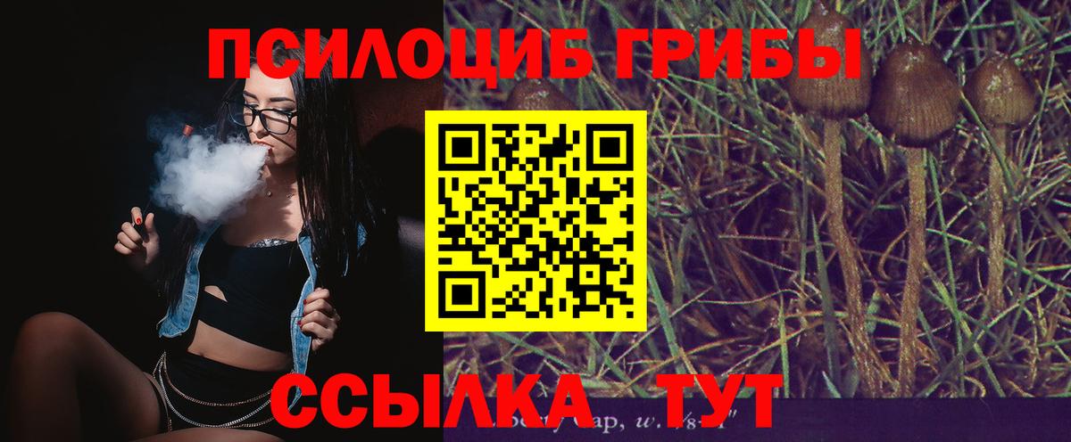 Псилоцибиновые грибы мухоморы Урус-Мартан