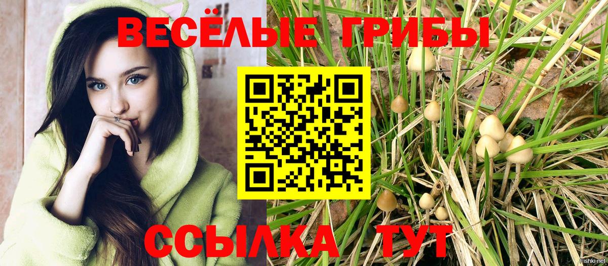 Галлюциногенные грибы MAGIC MUSHROOMS Урус-Мартан